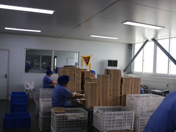 哪家膏藥oem貼牌加工廠的性價比高？